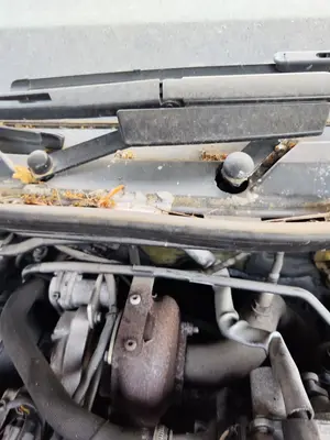 Foto de MOTOR LIMPIA DELANTERO AUDI Q7 (4L) 3.0 V6 24V TDI (233 CV / 171 KW)