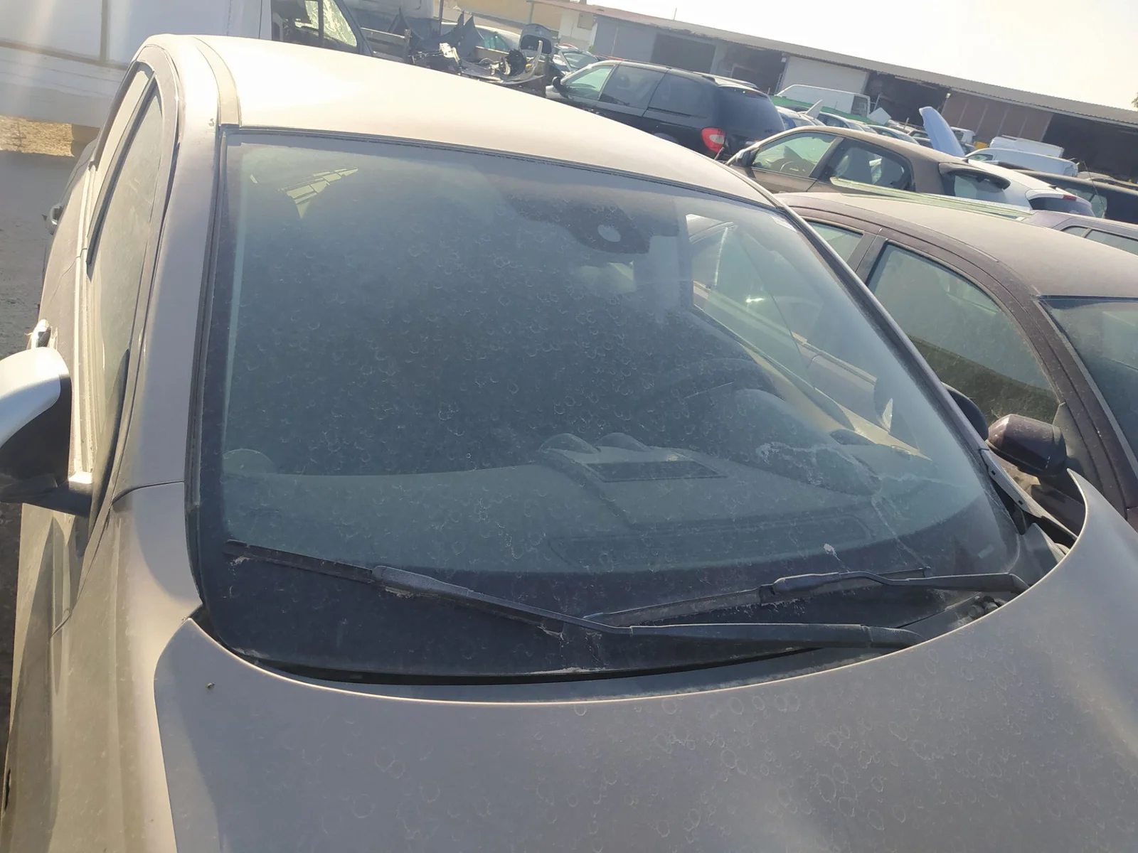 Foto de BRAZO LIMPIA DELANTERO DERECHO NISSAN QASHQAI (J10) 1.5 dCi Turbodiesel CAT (106 CV / 78 KW) referencia 28886JD900