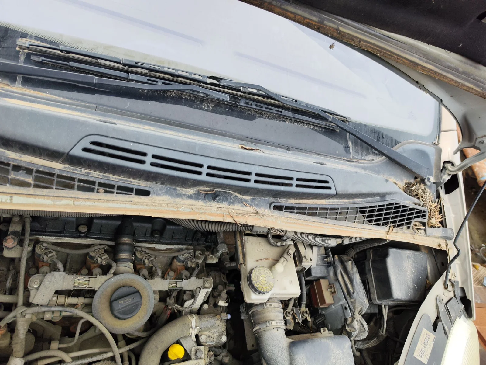 Foto de MOTOR LIMPIA DELANTERO CITROEN XSARA PICASSO 2.0 HDi CAT (RHY / DW10TD) (90 CV / 66 KW)