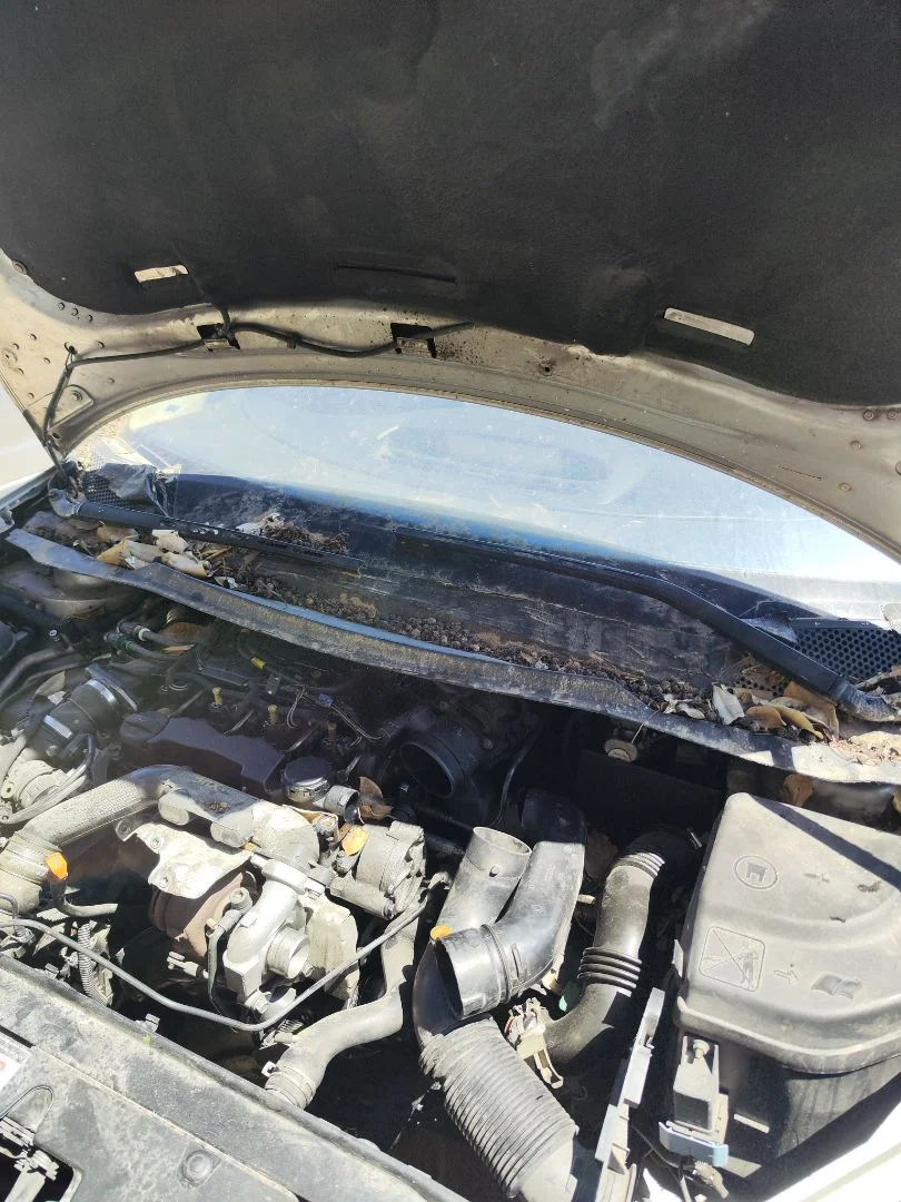 Foto de ARTICULACION LIMPIA DELANTERA CITROEN C4 BERLINA 1.6 16V HDi (90 CV / 66 KW)
