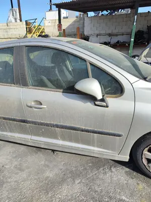 Foto de PUERTA DELANTERA DERECHA PEUGEOT 207 1.4 HDi (68 CV / 50 KW) referencia 9004X8 foto 2
