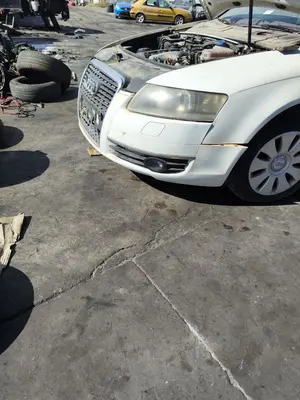 Foto de PARAGOLPES DELANTERO AUDI A6 BERLINA (4F2) 2.0 TDI (140 CV / 103 KW) foto 2