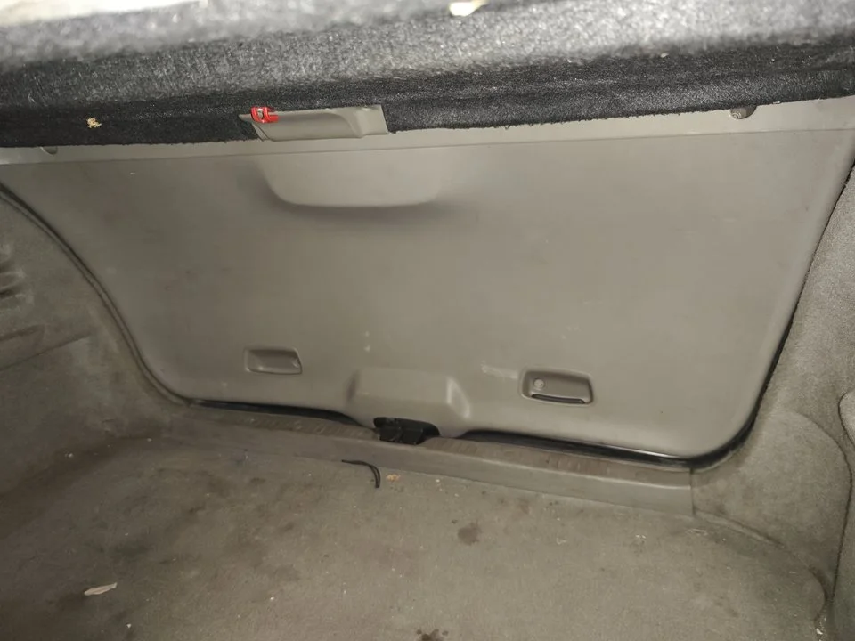 Foto de GUARNECIDO PORTON TRASERO RENAULT SCENIC II (JM) 1.9 dCi Diesel (120 CV / 88 KW) referencia 849210002R