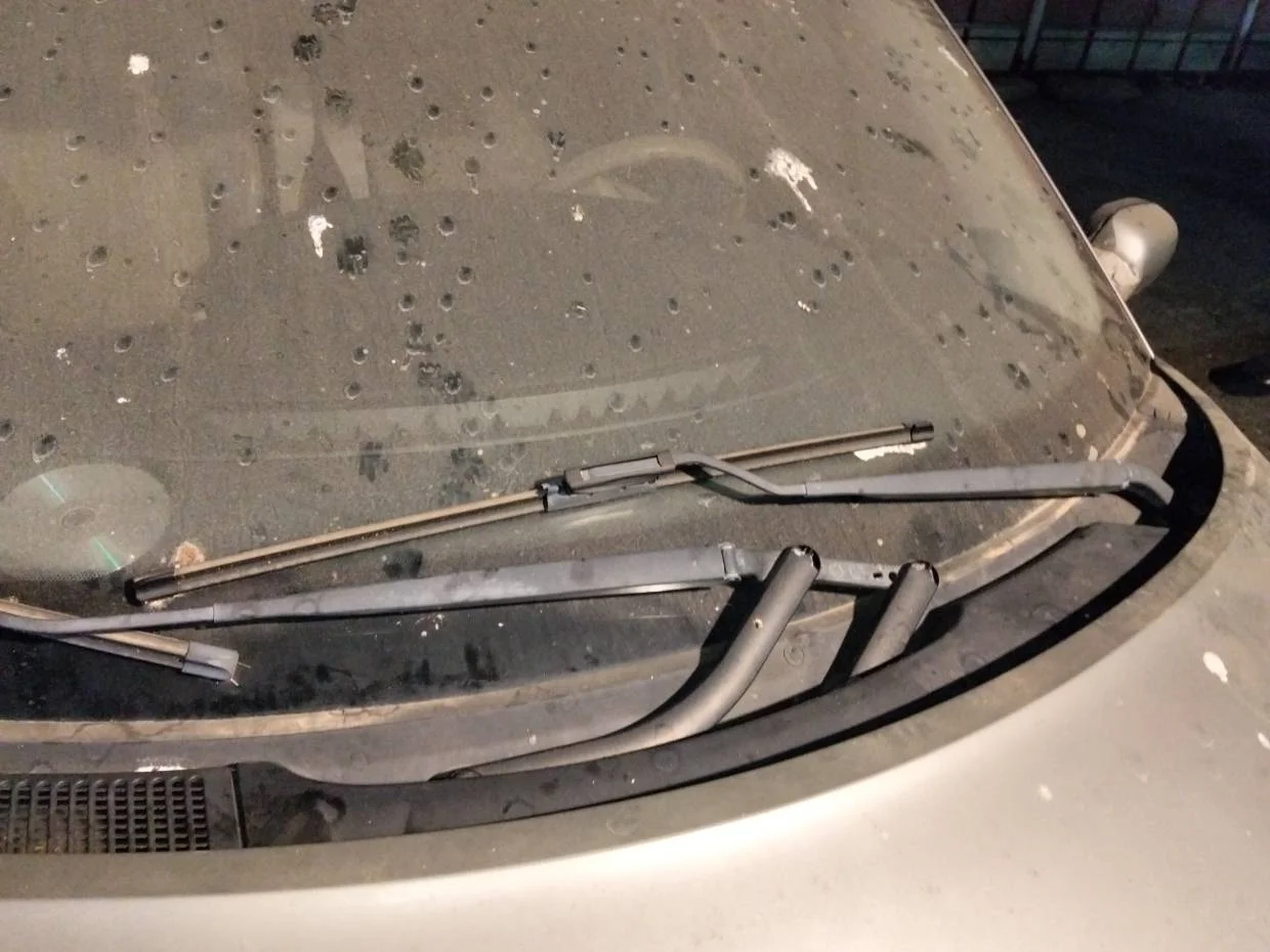 Foto de BRAZO LIMPIA DELANTERO IZQUIERDO RENAULT SCENIC II (JM)