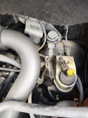 Foto de POTENCIOMETRO PEDAL RENAULT SCENIC I (JA...) 1.9 dCi Diesel CAT (102 CV / 75 KW) referencia 7700431118 foto 4