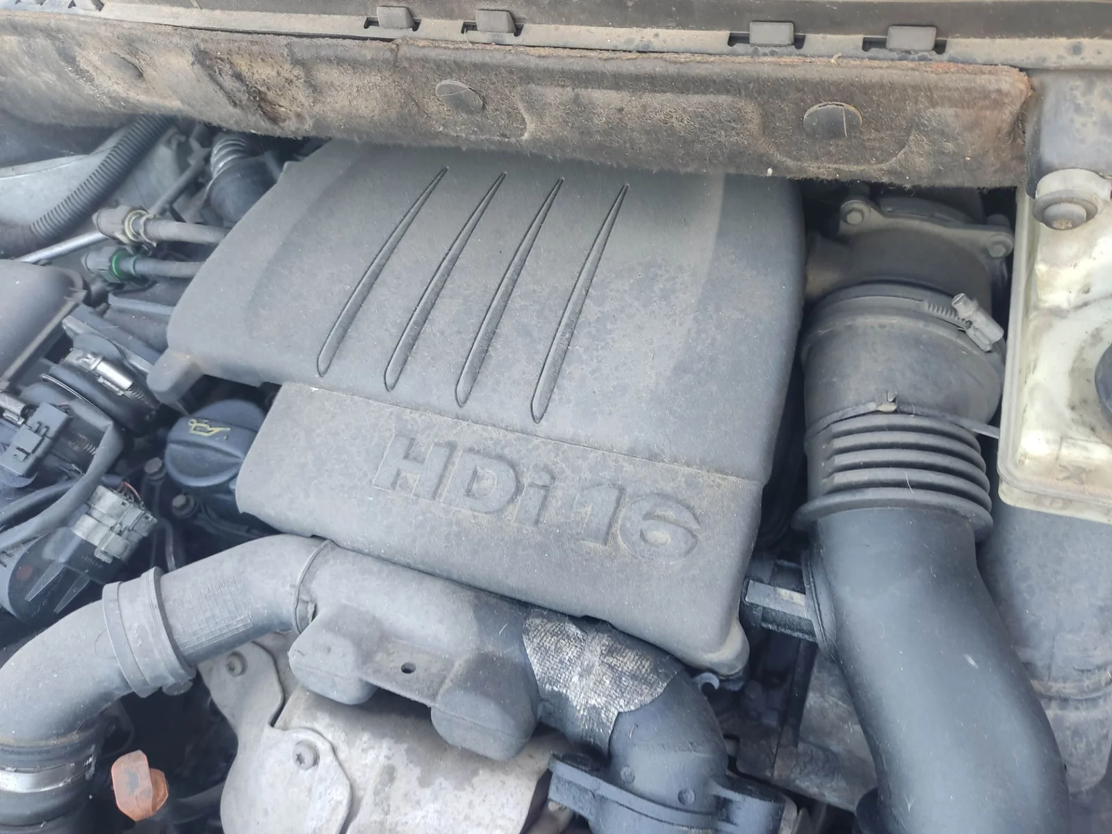 Foto de TAPA MOTOR PEUGEOT PARTNER TEPEE 1.6 16V HDi CAT (9HT / DV6BTED4) (75 CV / 55 KW)