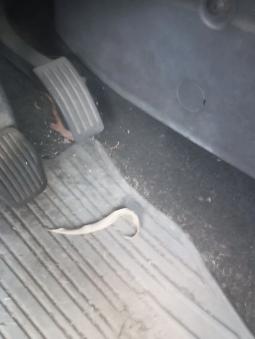 Foto de POTENCIOMETRO PEDAL FORD FOCUS BERLINA (CAP) 1.6 TDCi CAT (109 CV / 80 KW)