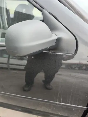 Foto de RETROVISOR DERECHO VOLKSWAGEN BORA BERLINA (1J2)(1998) 1.9 TDI (110 CV / 81 KW) foto 2