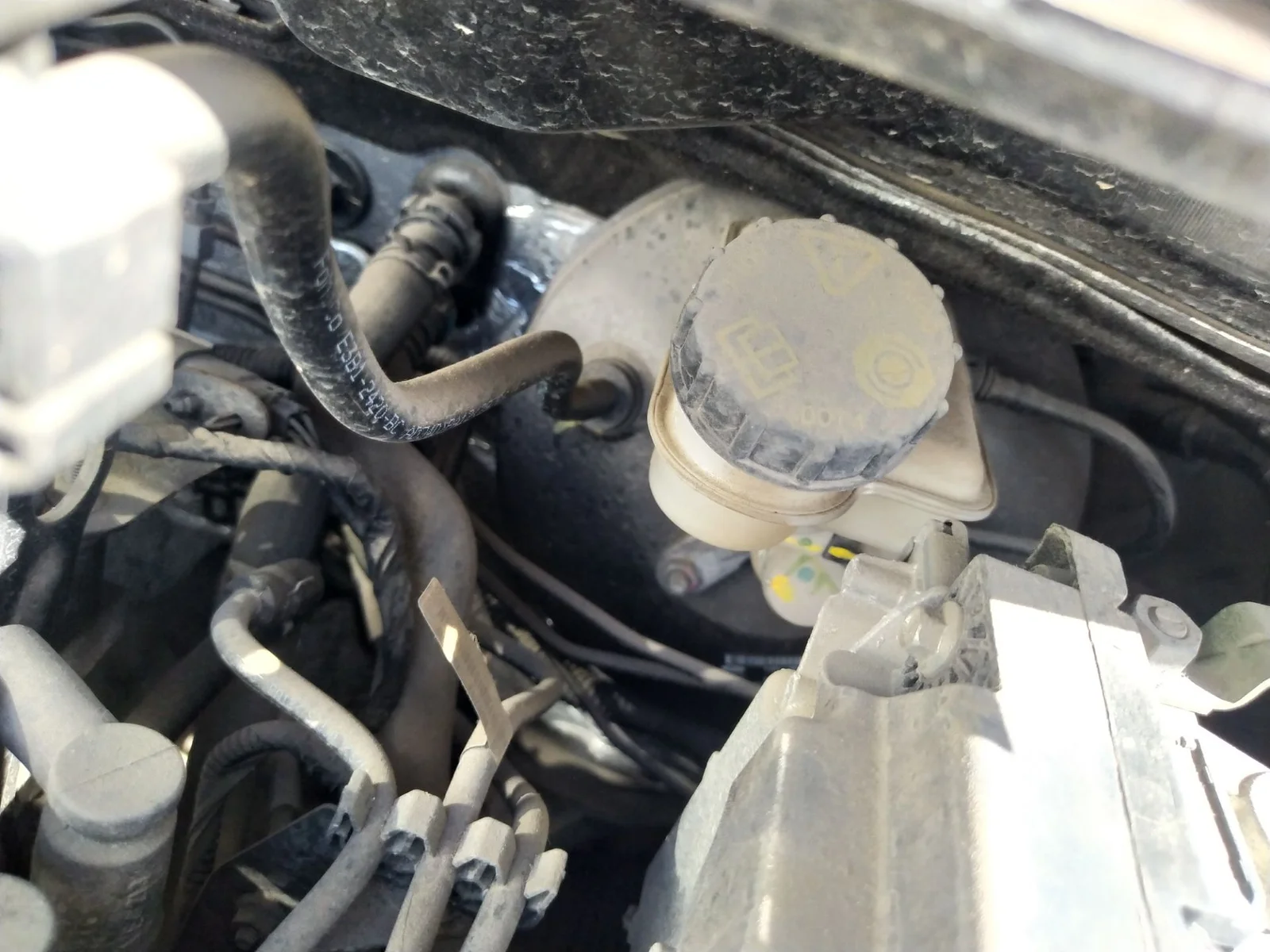 Foto de SERVOFRENO FORD KA+ (CDU) 1.2 Ti-VCT CAT (86 CV / 63 KW) referencia 1894274