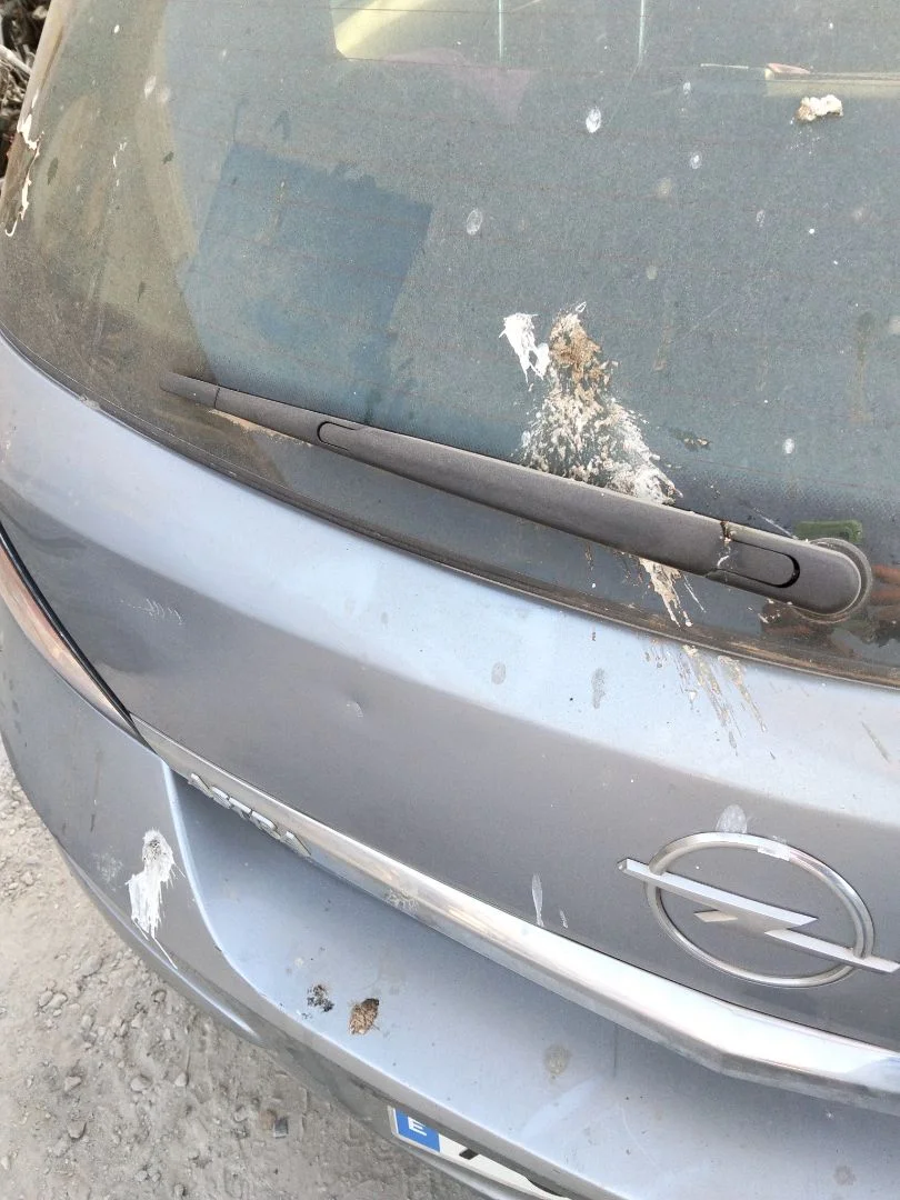 Foto de BRAZO LIMPIA TRASERO OPEL ASTRA H BERLINA