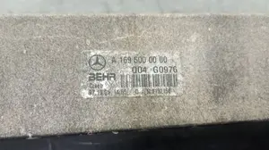 Foto de INTERCOOLER MERCEDES-BENZ CLASE A (BM 169) 2.0 CDI CAT (82 CV / 60 KW) referencia A1695000000 foto 3