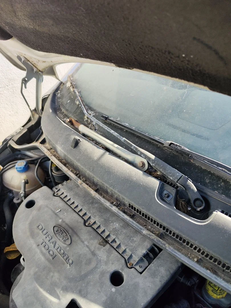 Foto de BRAZO LIMPIA DELANTERO DERECHO FORD KA (CCU) 1.3 TDCi CAT (75 CV / 55 KW) referencia 1554036
