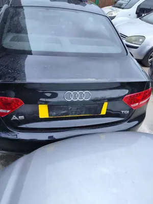 Foto de PORTON TRASERO AUDI A5 COUPE (8T) 2.0 16V TDI (170 CV / 125 KW)