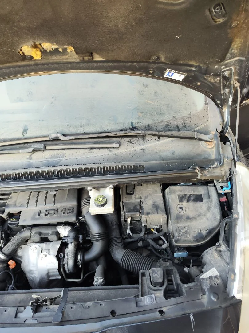 Foto de BRAZO LIMPIA DELANTERO IZQUIERDO PEUGEOT 5008 1.6 HDi FAP CAT (9HZ / DV6TED4) (109 CV / 80 KW)