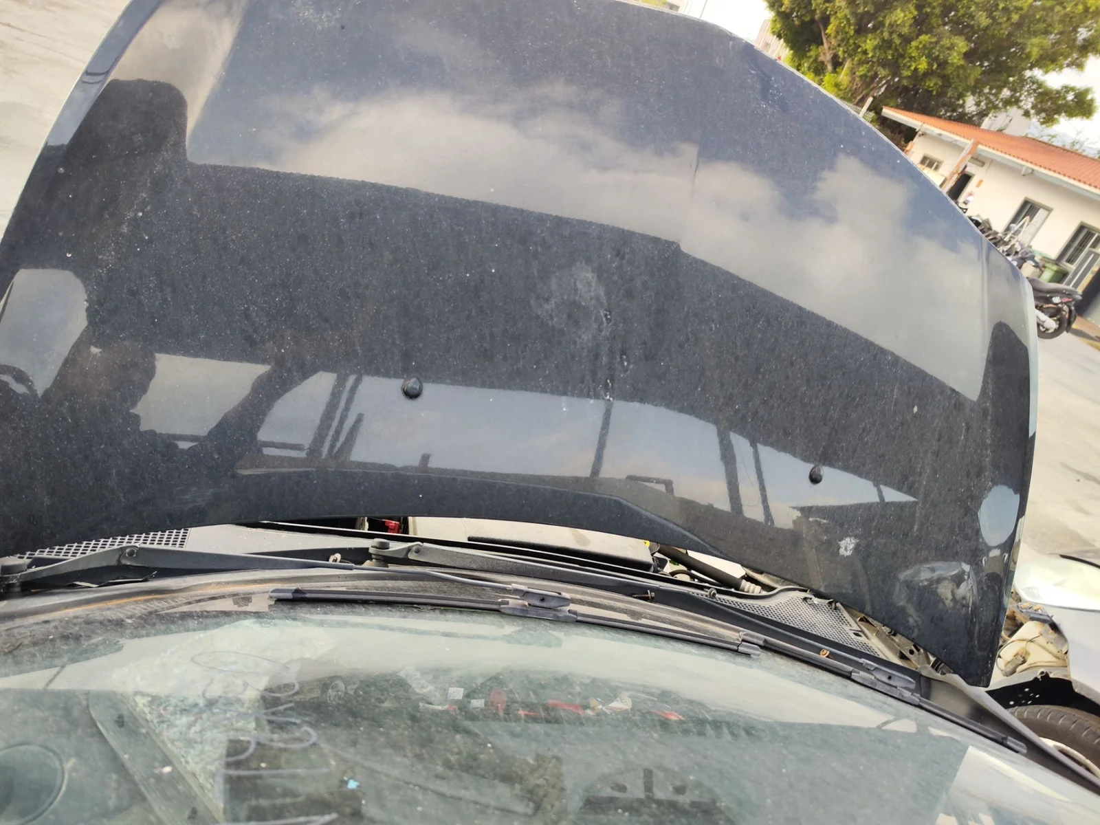 Foto de CAPO RENAULT CLIO III 1.2 16V (75 CV / 55 KW)