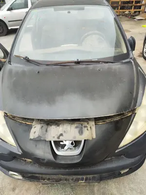 Foto de CAPO PEUGEOT 207 1.4 16V CAT (KFU / ET3J4) (88 CV / 65 KW) referencia 7901N2 foto 4