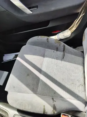 Foto de ASIENTO DELANTERO DERECHO NISSAN PRIMERA BERLINA (P12) 1.9 16V Turbodiesel CAT (120 CV / 88 KW)
