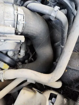 Foto de MANGUERAS INTERCOOLER AUDI Q7 (4L) 3.0 V6 24V TDI (233 CV / 171 KW)