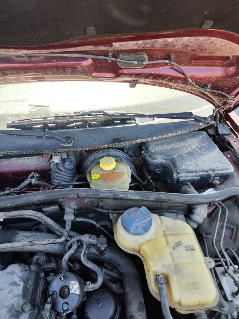 Foto de MOTOR LIMPIA DELANTERO VOLKSWAGEN PASSAT BERLINA (3B2) 1.9 TDI (116 CV / 85 KW) referencia 4B1955113