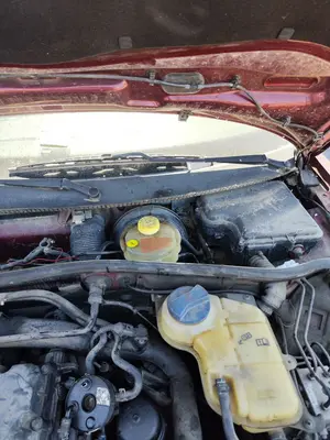 Foto de MOTOR LIMPIA DELANTERO VOLKSWAGEN PASSAT BERLINA (3B2) 1.9 TDI (116 CV / 85 KW) referencia 4B1955113
