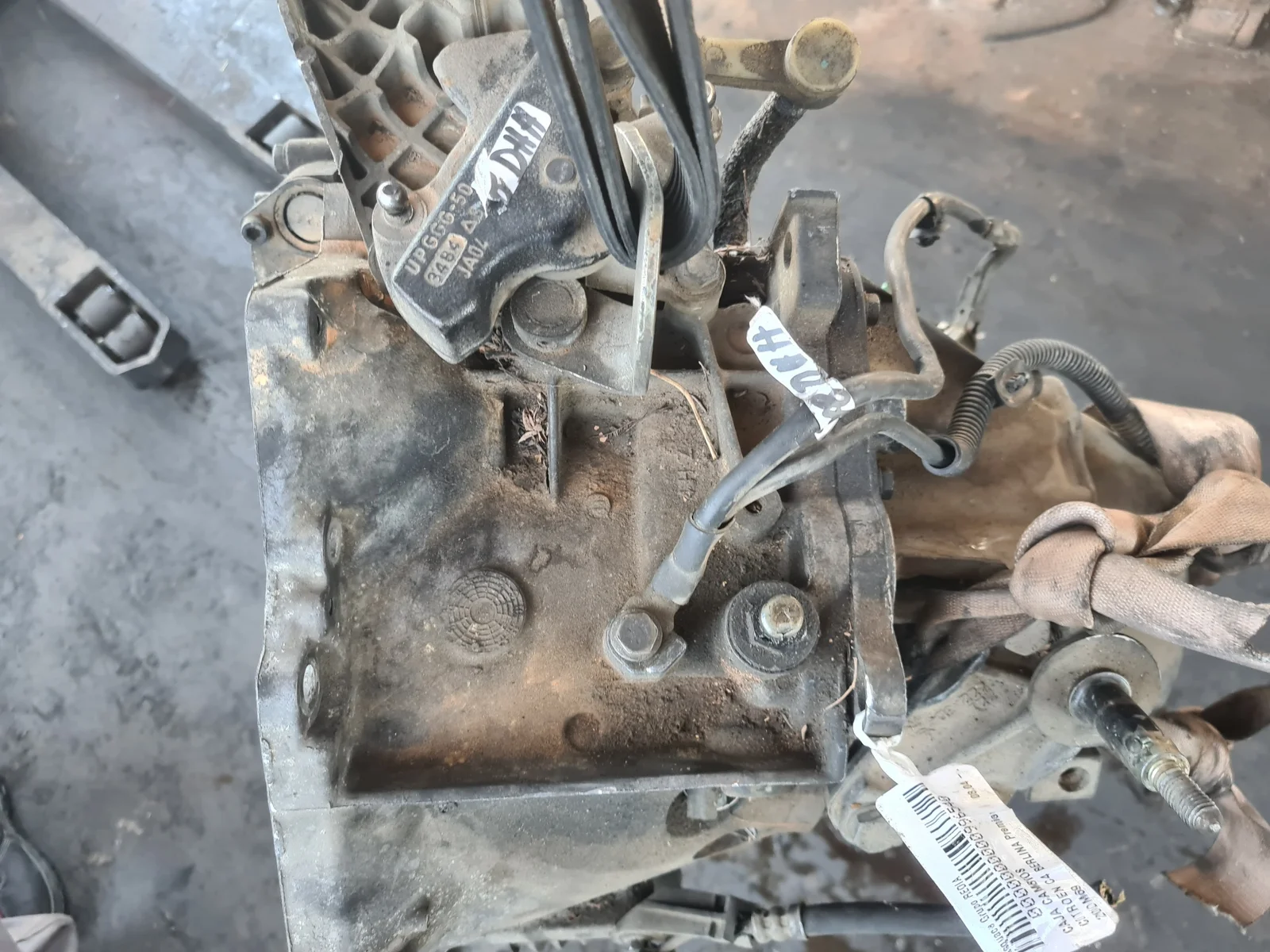 Foto de CAJA CAMBIOS CITROEN C4 BERLINA referencia 20DM69