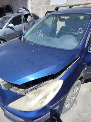 Foto de CAPO PEUGEOT 307 BERLINA (S2) 1.4 16V CAT (KFU / ET3J4) (88 CV / 65 KW) foto 2