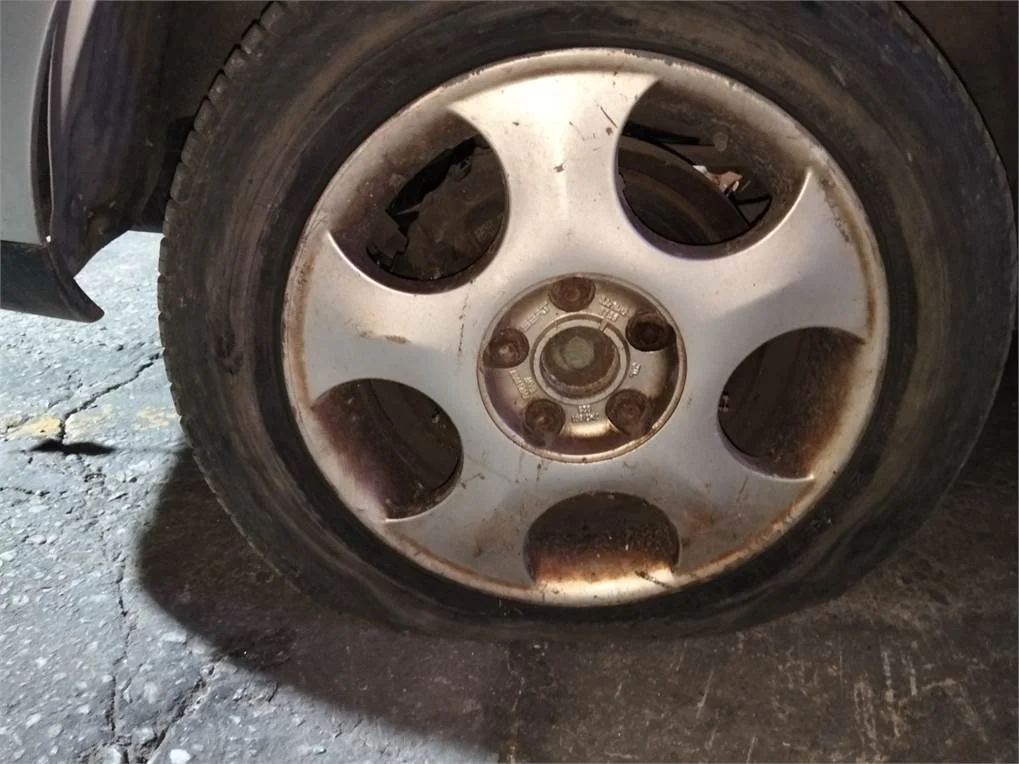 Foto de LLANTA SEAT ALHAMBRA (7V9)