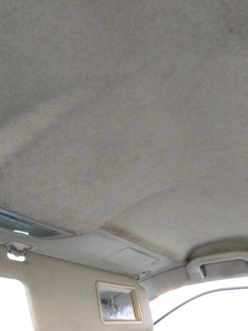 Foto de TECHO INTERIOR SEAT IBIZA (6K1) 1.9 TDI (90 CV / 66 KW) referencia 6K6867501AHFKZ