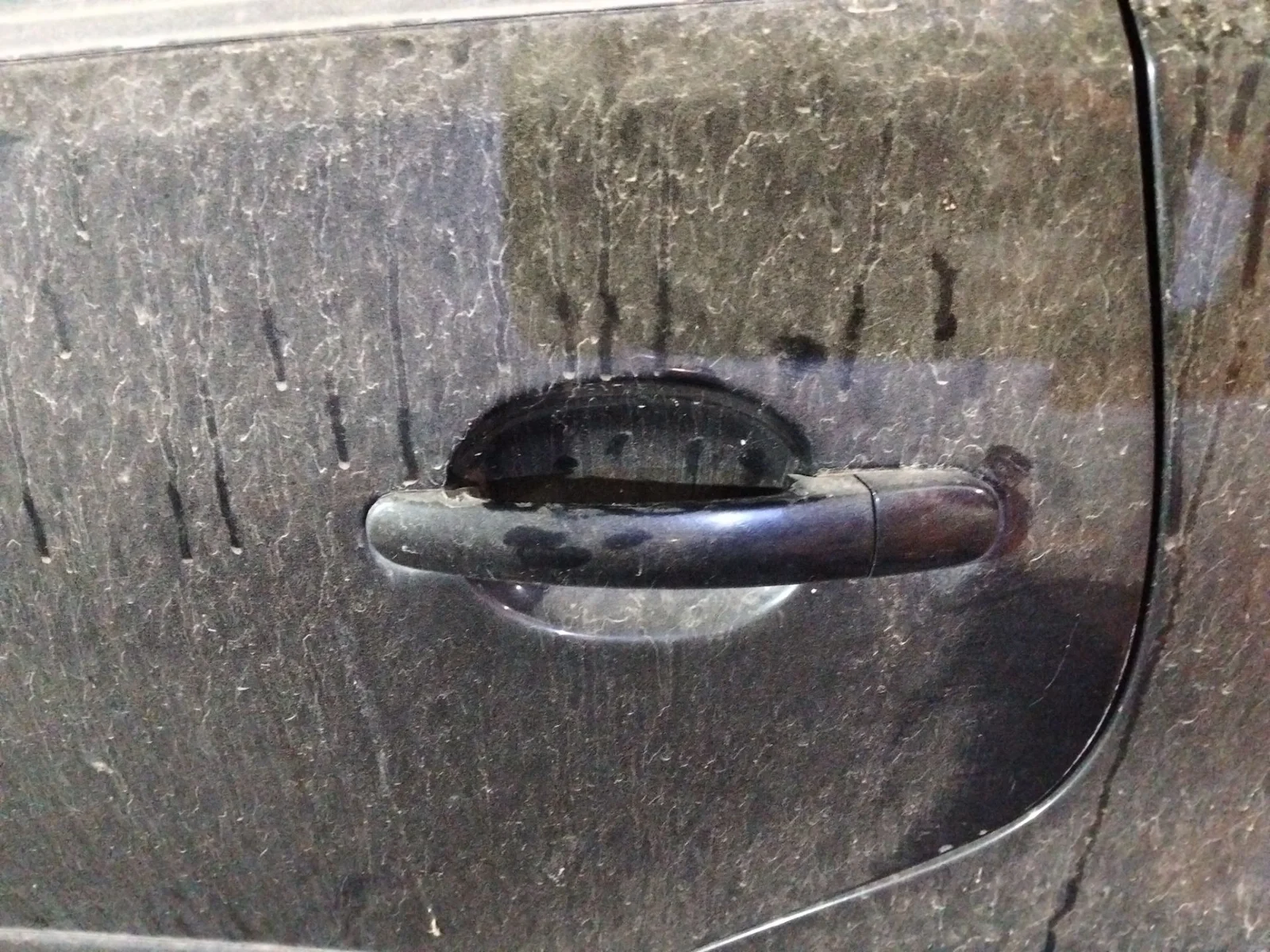 Foto de MANETA EXTERIOR TRASERA IZQUIERDA VOLKSWAGEN POLO IV (9N1)