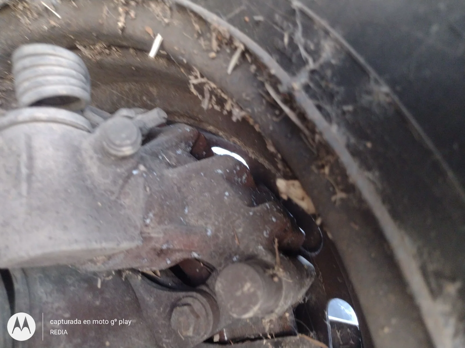 Foto de PINZA DE FRENO TRASERA DERECHA FORD FOCUS SPORTBREAK (CAP) 1.6 16V CAT (101 CV / 74 KW) referencia 2080513