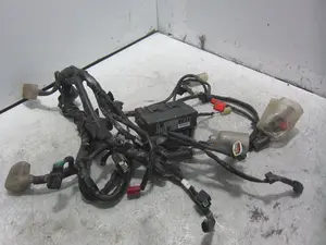 Foto de CABLEADO ELECTRICO HONDA PCX 125 125 cm3 - 9 kW (12 CV / 9 KW) referencia 32100-K96-D000
