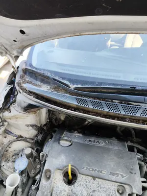 Foto de BRAZO LIMPIA DELANTERO DERECHO KIA CEED (JD) 1.4 CAT (99 CV / 73 KW)