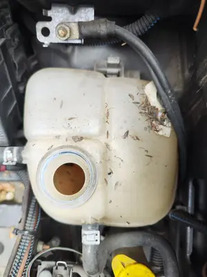 Foto de DEPOSITO EXPANSION OPEL ZAFIRA A 2.0 DTI (101 CV / 74 KW)