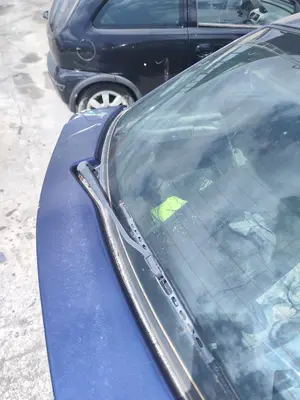 Foto de BRAZO LIMPIA TRASERO CITROEN XSARA COUPE 2.0 HDi CAT (RHY / DW10TD) (90 CV / 66 KW)