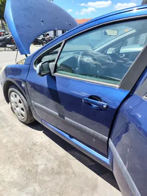 Foto de PUERTA DELANTERA IZQUIERDA PEUGEOT 307 BERLINA (S2) 1.4 16V CAT (KFU / ET3J4) (88 CV / 65 KW) foto 1