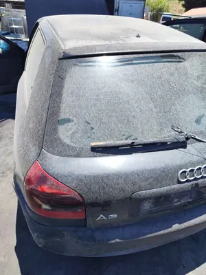 Foto de PORTON TRASERO AUDI A3 (8L) 1.9 TDI (110 CV / 81 KW) referencia 8L0827023 foto 2