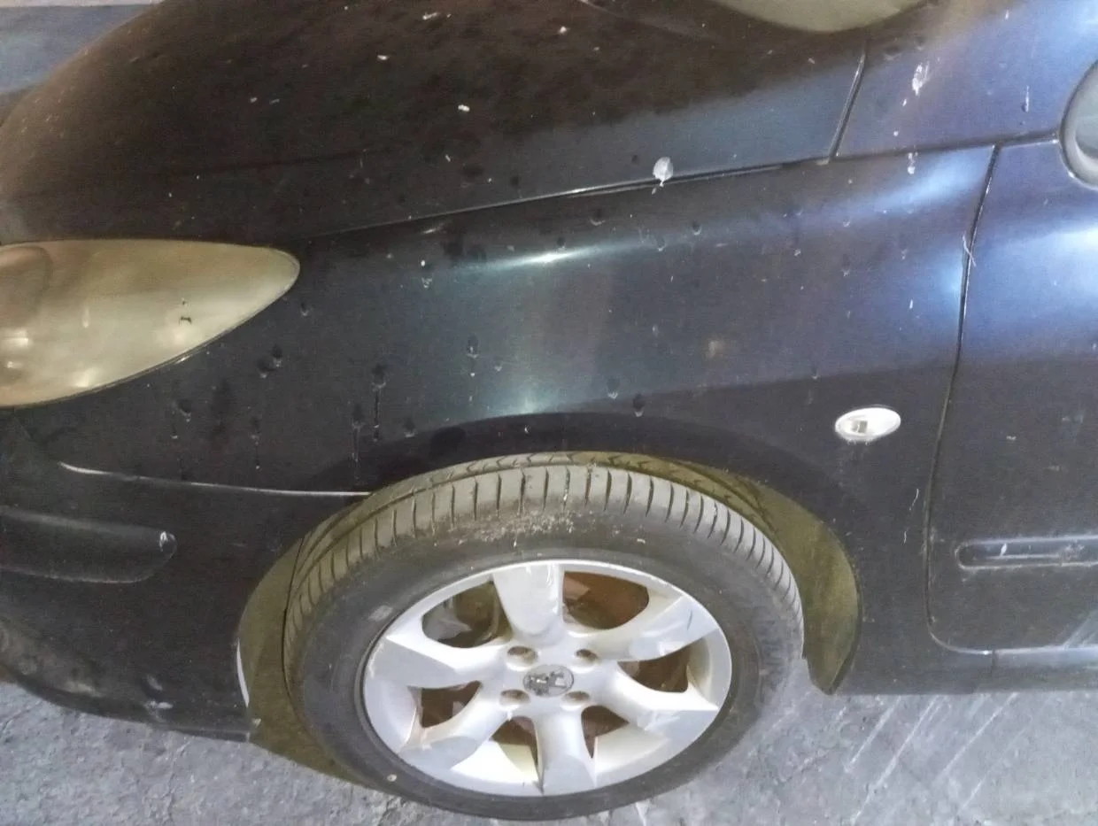 Foto de ALETA DELANTERA IZQUIERDA PEUGEOT 307 CC CABRIO-COUPÉ (S2)