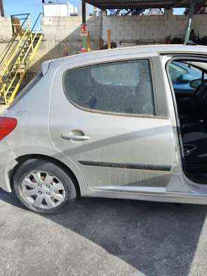 Foto de PUERTA TRASERA DERECHA PEUGEOT 207 1.4 HDi (68 CV / 50 KW) referencia 9008S6