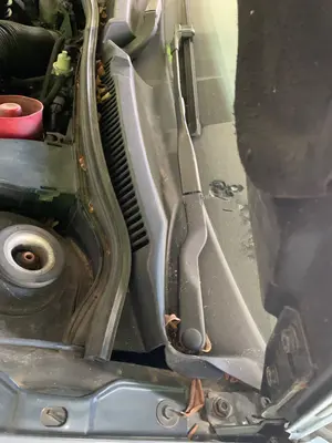 Foto de BRAZO LIMPIA DELANTERO IZQUIERDO VOLKSWAGEN GOLF IV BERLINA (1J1)(10.1997) 1.9 TDI (101 CV / 74 KW) referencia 1J1955409D