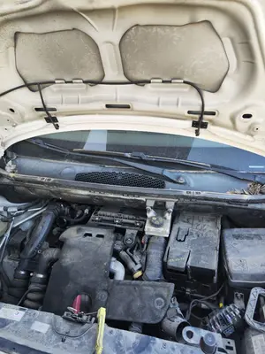 Foto de TORPEDO CITROEN BERLINGO FURGÓN 1.6 Blue-HDI FAP (99 CV / 73 KW)