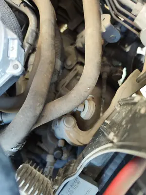 Foto de CAJA CAMBIOS OPEL VECTRA C BERLINA 1.9 CDTI (120 CV / 88 KW) referencia 55560479