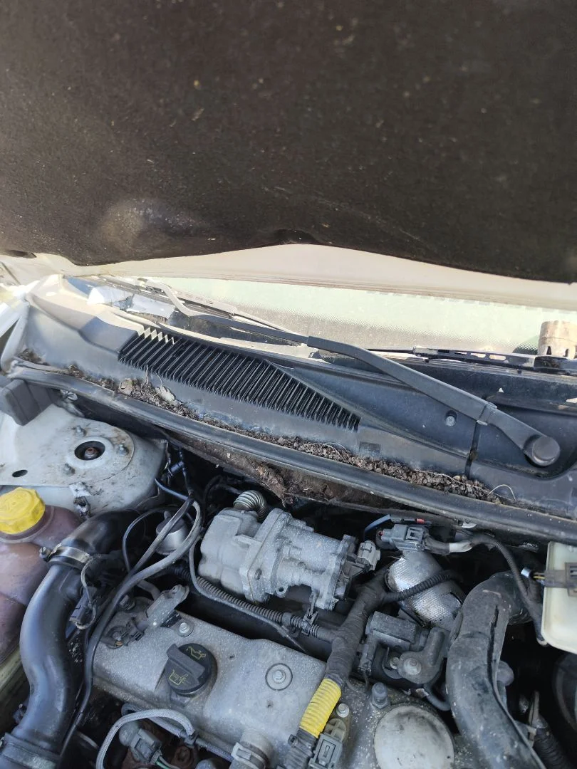 Foto de BRAZO LIMPIA DELANTERO DERECHO FORD TRANSIT CONNECT (TC7) 1.8 TDCi CAT (90 CV / 66 KW)