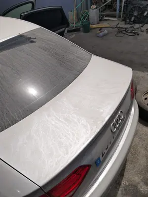 Foto de PORTON TRASERO AUDI A4 BERLINA (8K2) 2.0 16V TDI (143 CV / 105 KW) foto 2