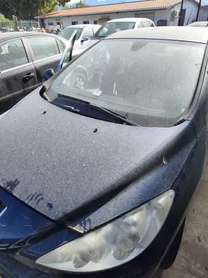 Foto de CAPO PEUGEOT 308 1.6 16V HDi (90 CV / 66 KW) referencia 7901P6 foto 6