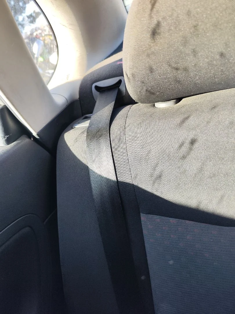 Foto de CINTURON SEGURIDAD TRASERO DERECHO SEAT CORDOBA BERLINA (6L2) 1.9 TDI (131 CV / 96 KW)