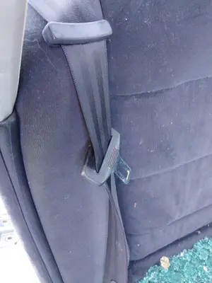Foto de CINTURON SEGURIDAD TRASERO IZQUIERDO VOLKSWAGEN PASSAT BERLINA (3B3) 1.9 TDI (131 CV / 96 KW)