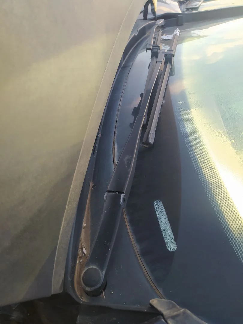 Foto de MOTOR LIMPIA DELANTERO VOLKSWAGEN GOLF PLUS V (5M1) 1.9 TDI (105 CV / 77 KW)