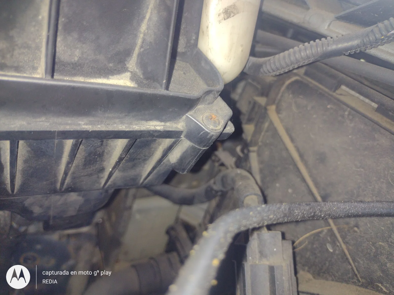 Foto de CLAXON FORD S-MAX (CA1) 2.0 TDCi CAT (140 CV / 103 KW)
