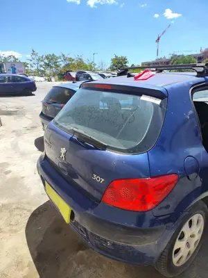 Foto de PORTON TRASERO PEUGEOT 307 BERLINA (S2) 1.4 16V CAT (KFU / ET3J4) (88 CV / 65 KW) foto 4