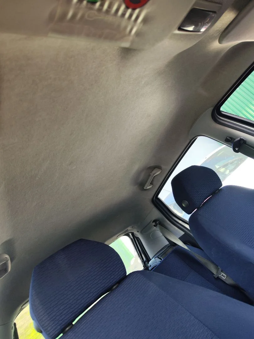 Foto de TECHO INTERIOR FIAT II PUNTO (188) BERLINA 1.2 CAT (60 CV / 44 KW) referencia 0735357808